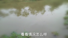 92218bf49ad2fb68d1eec81c6d7e05efc9cf979b.jpg@280w_158h_1c_100q.jpg