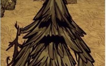 饥荒树人_扬州中学树人集团_饥荒 冬季boss 树人