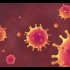 3.新冠病毒进入细胞的过程