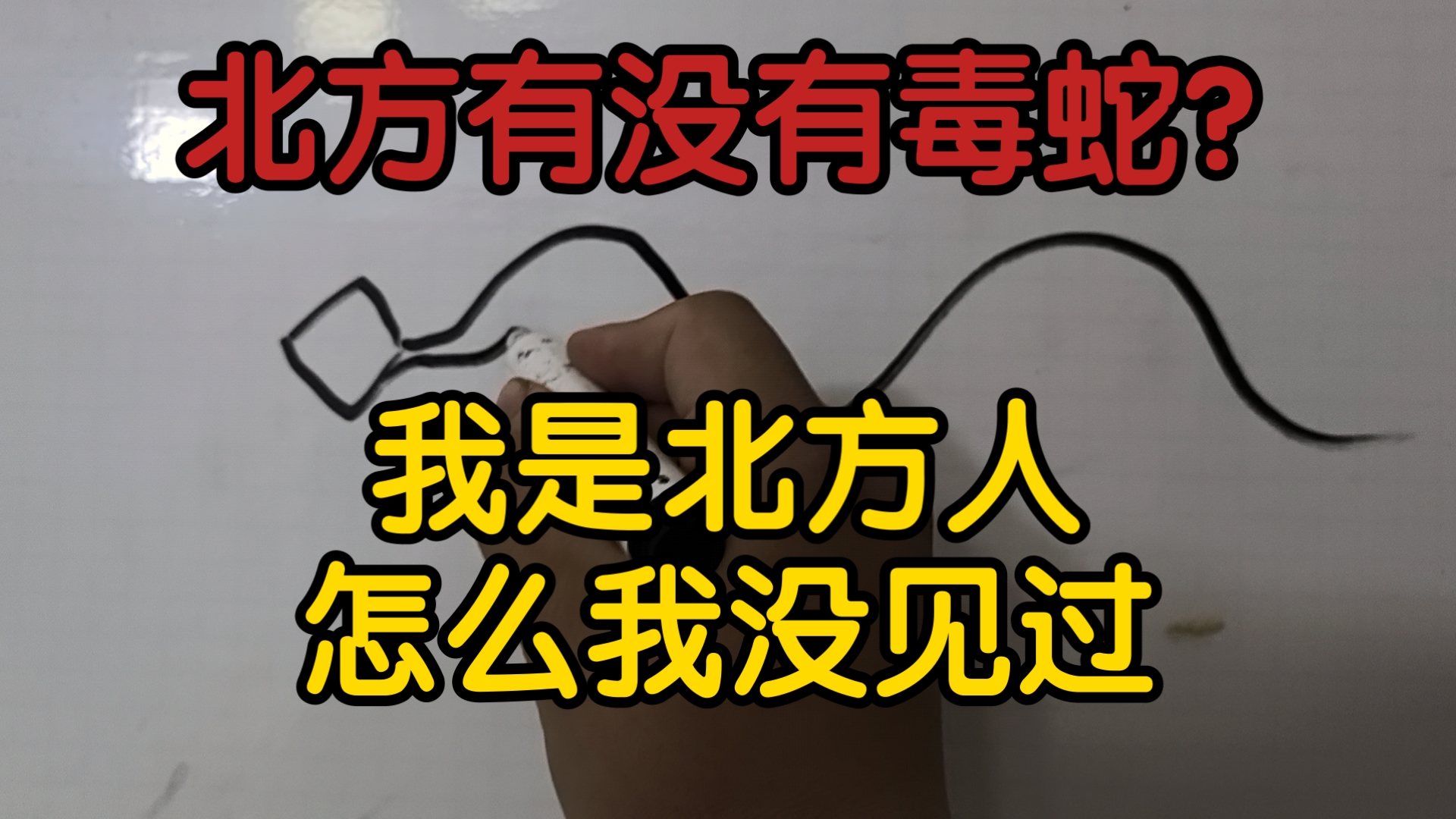 已破防…没想到害怕毒蛇的我们走到哪都能遇到它们…