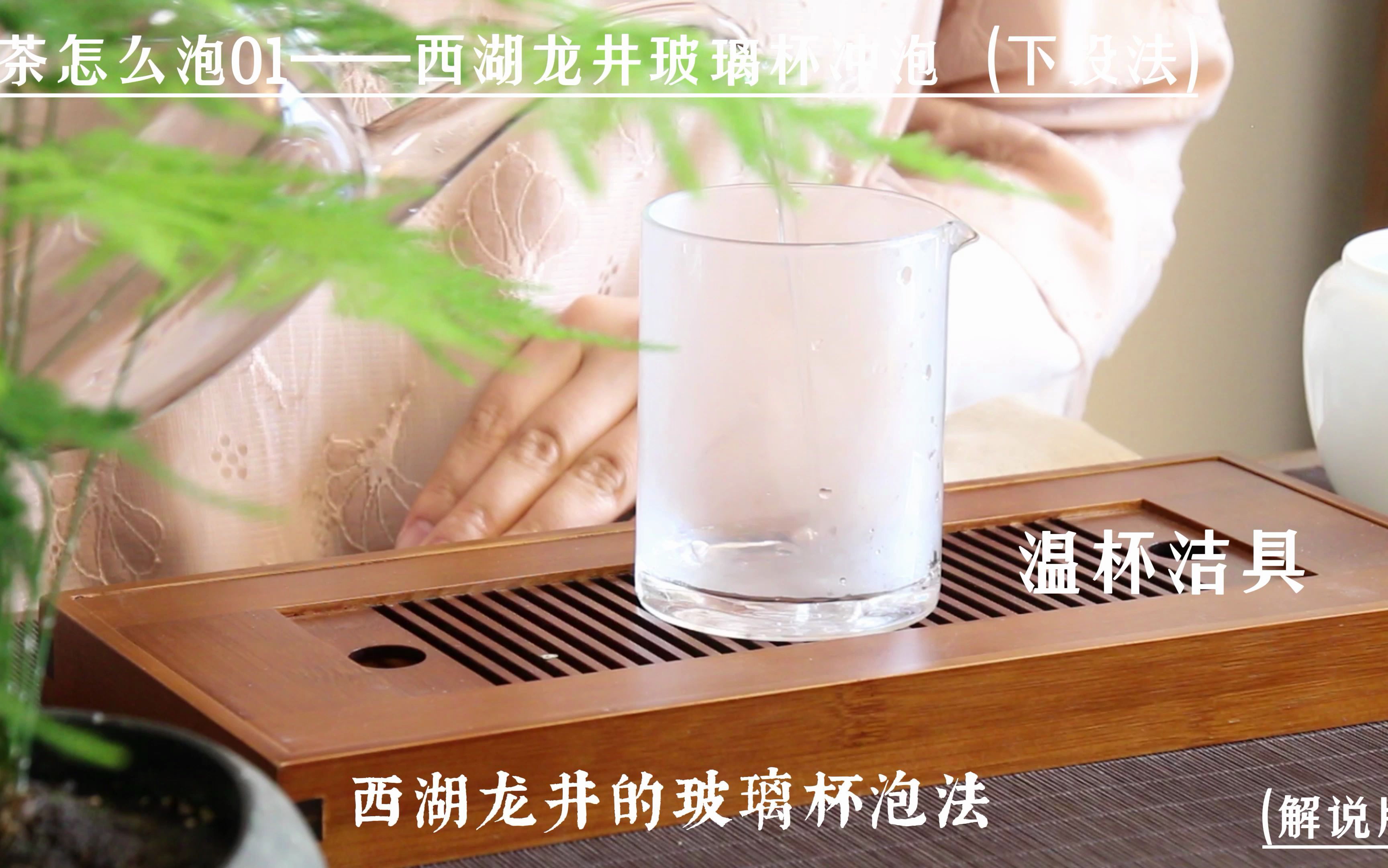 绿茶怎么泡系列01 | 西湖龙井