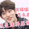 【丁程鑫】顶着这张脸骗我，不一骗一个准吗😂被猫猫骗了怎么办？当然是原谅他