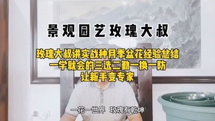 9263d7f3f8f3dca09fb07d1910608bc3ac69cb92.jpg@310w_174h_1c_100q.jpg