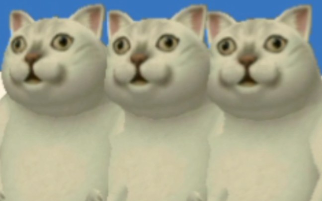 奇怪的视频增加了 哔哩哔哩 つロ干杯 Bilibili