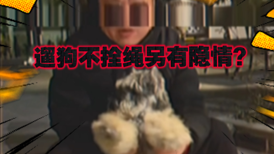 【今日睇真D】遛狗不拴绳另有隐情？