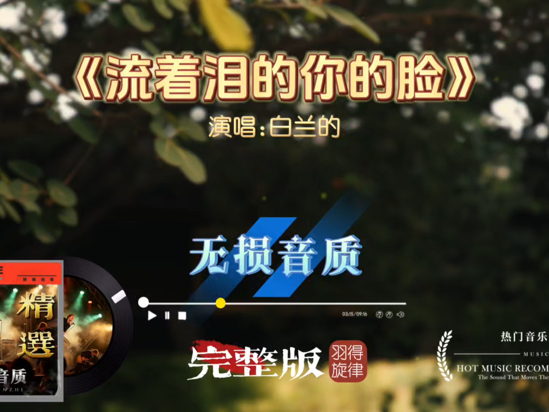 白兰的全新改编《流着泪的你的脸》雷鬼版！伤感老歌搭配轻快节奏，听完直接循环上头