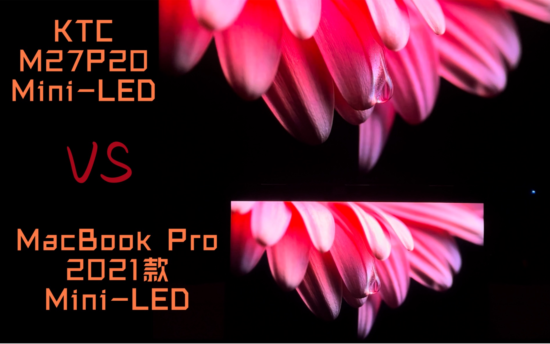 【4K】KTC M27P20对比2021款MacBook Pro16寸HDR显示效果，4999元的mini LED究竟表现如何？