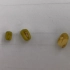 观察绿豆种子的结构