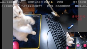 92c62b8e0e93800a8f9f98be1cafc734fb8ab888.jpg@280w_158h_1c_100q.jpg
