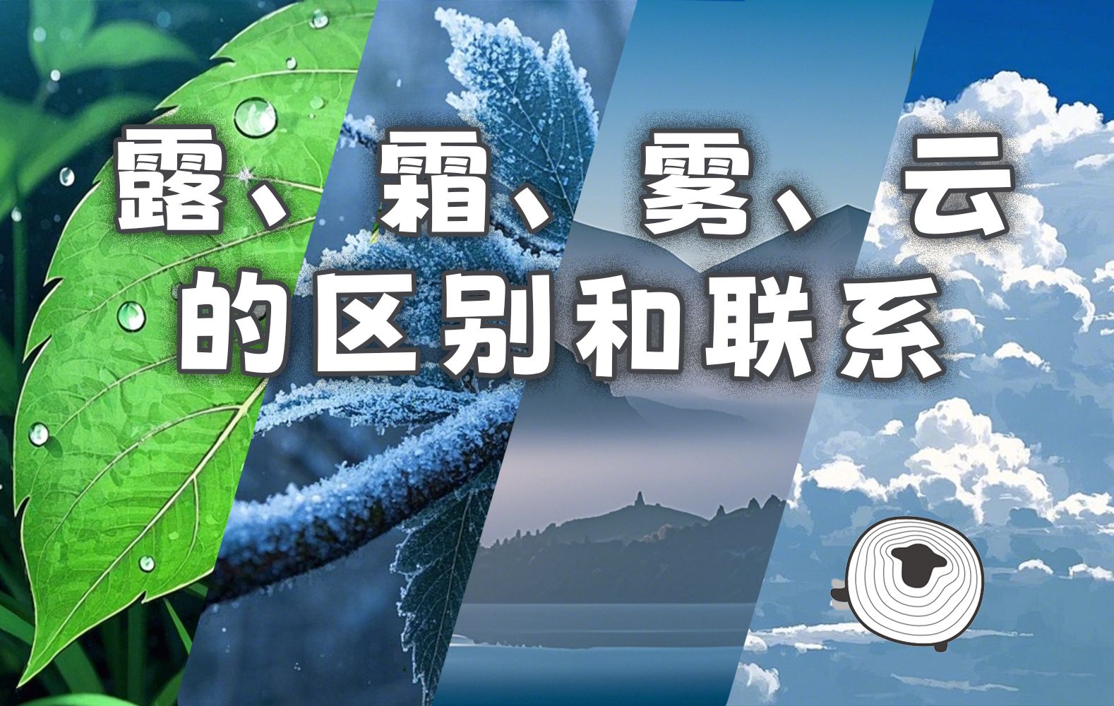 露、霜、雾、云的区别和联系【羊羊地理 | 手绘动画112】