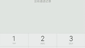 小米拨号键曲谱_小米11(3)