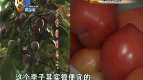 9313b6a650994fc7d84dc860be32f99fe9e8366e.jpg@280w_158h_1c_100q.jpg