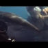 深海狂鲨3—女主角脱衣救人，大胸