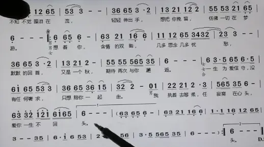 吕老师教简谱爱你一生