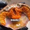 迟来的关心谁稀罕？我选魔神人生