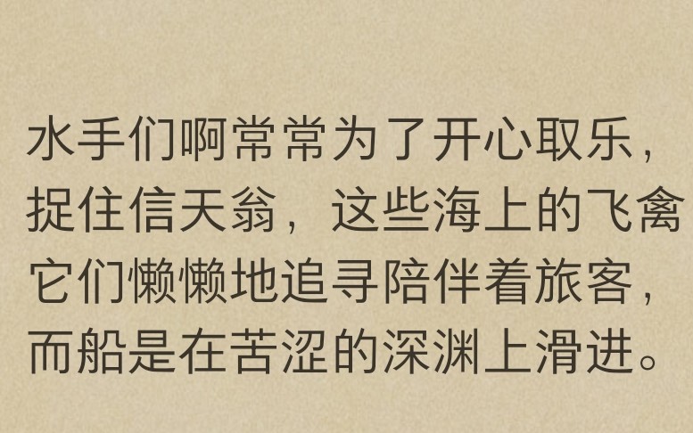 忘记的鸟birdswunsche