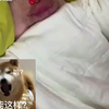 爸爸假扮“小精灵”教育儿子 好爸爸在教育孩子过程中从来不缺办法 网友：第一眼看到我也信了