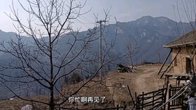 936f5094300dc5a01b642054e0daf7f1a1d5715b.jpg@280w_158h_1c_100q.jpg