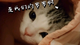 怎么拥有异瞳 9389faf73012f654a68a8144529ef6f6807c6b42.jpg@280w_158h_1c_100q.jpg