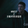 Wincest｜米的家庭观：哥
