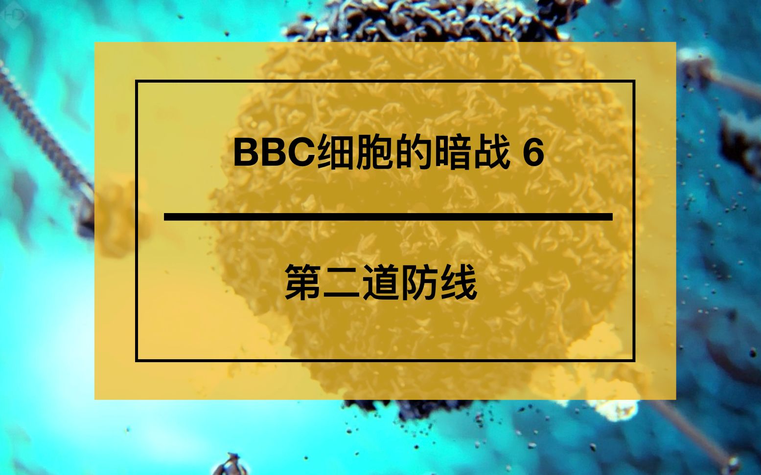活动作品bbc人体奥妙之细胞的暗战6第二道防线