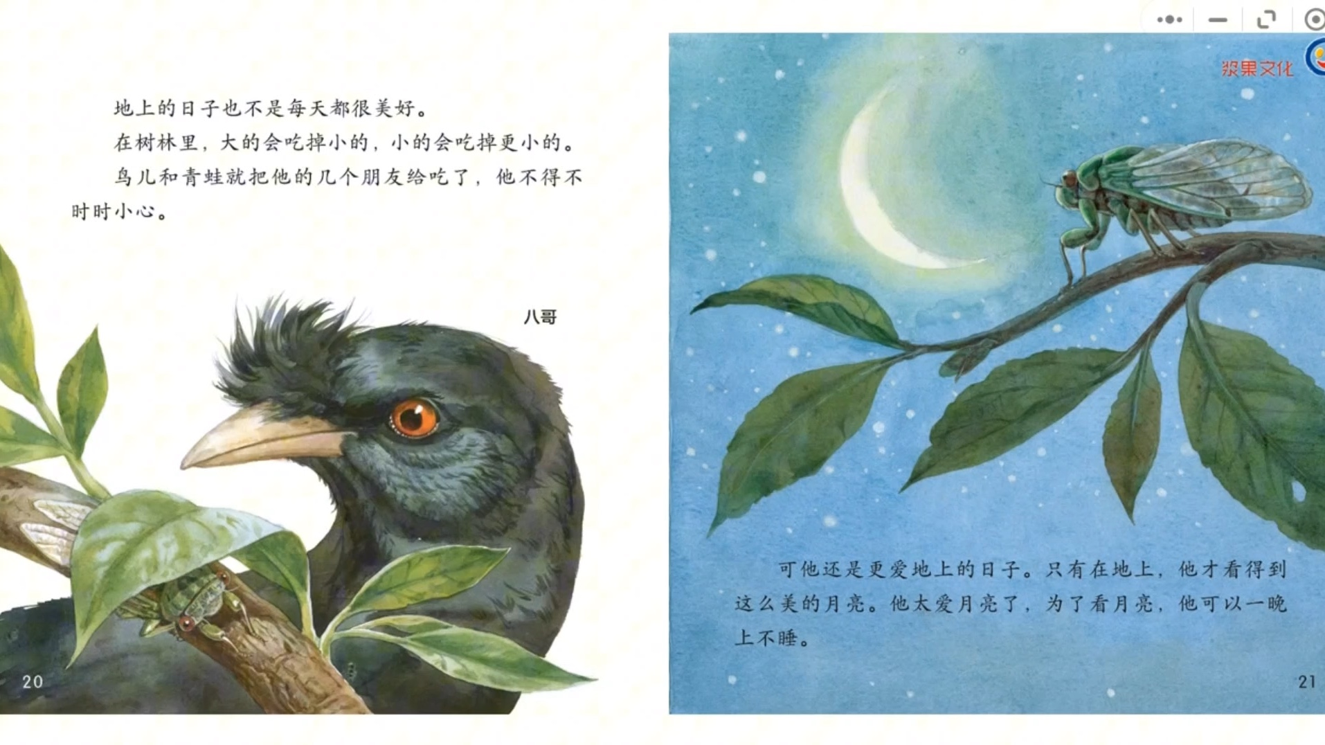 【小羊上山第五级】05知了的一生