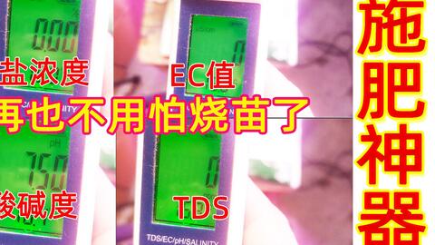 93cdad09d1d0dd75c9b26f5af73846664c11d82f.jpg@480w_270h_1c