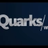 【Quarks】德语视频 成人喝母乳实验