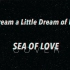 【石榴】sea of love + dream a little dream of me