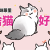 在小猫咪眼里，什么猫好看？！结果颠覆五官！哈哈哈