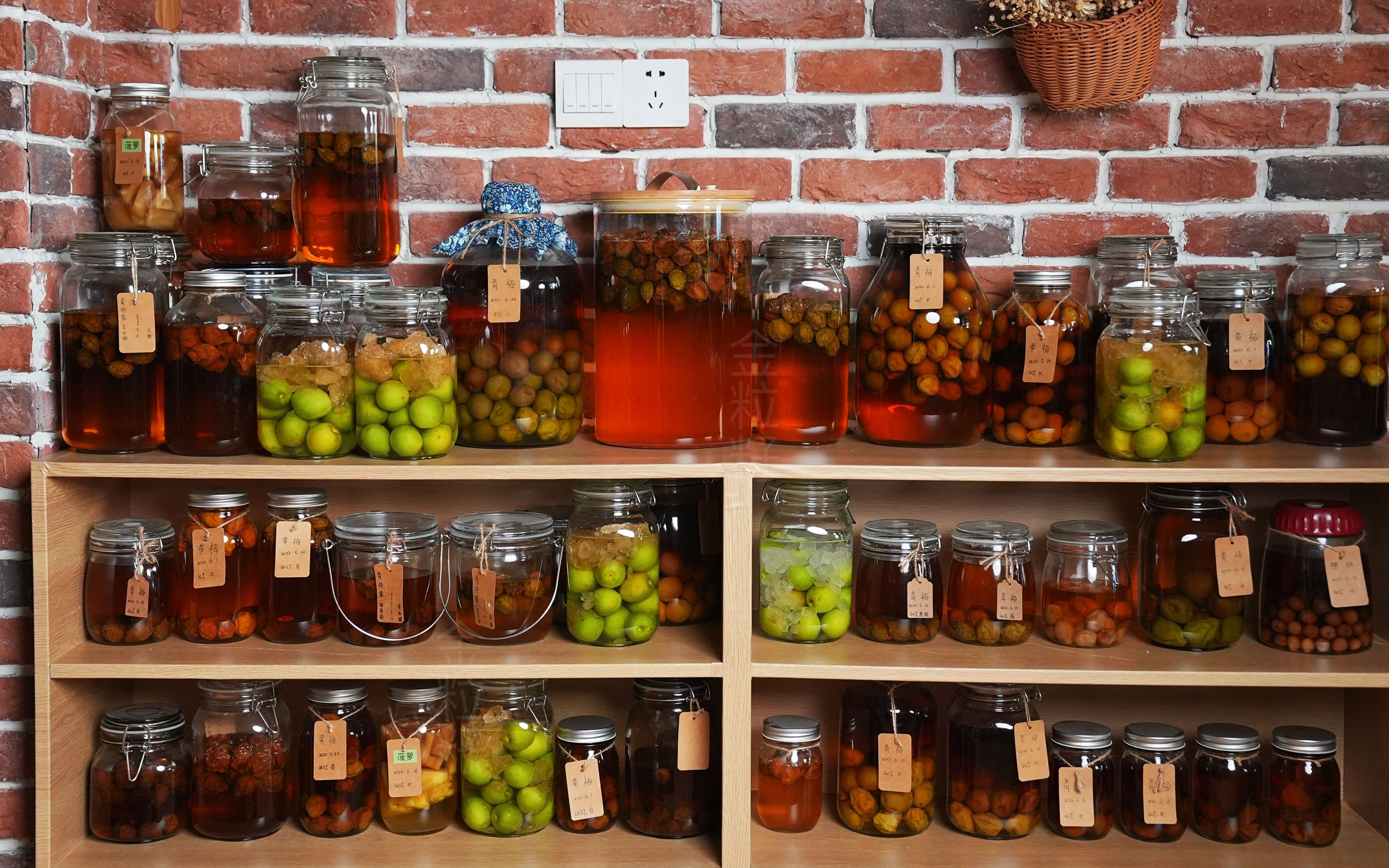 看到这一面墙的青梅酒，邻居赖在我家不走了~