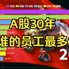历年A股员工人数排行榜