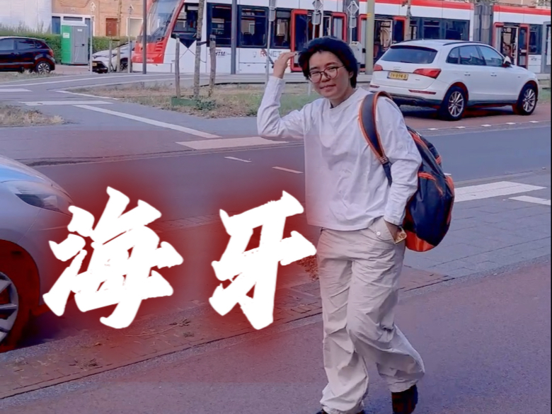 海牙街头 call back