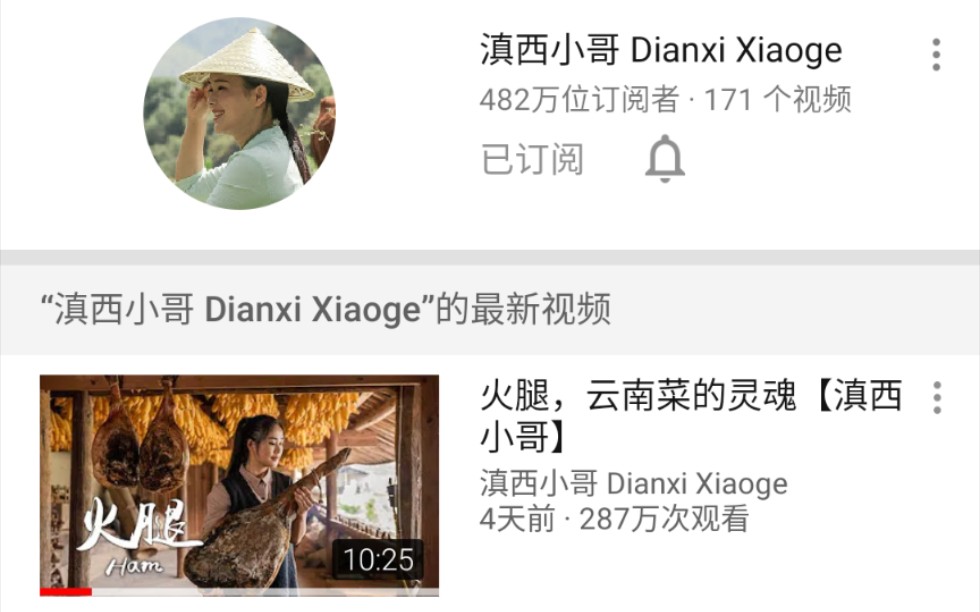 滇西小哥油管订阅数准备破500万大王也很火