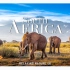 非洲4K超高清 - 带有非洲音乐的风景放松影片