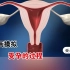 3D动画模拟 受孕的过程