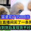 女子花了35000元，在直播间买了一条狗，收到狗后发现货不对板，曝光了这种欺诈行为，目前在维权中