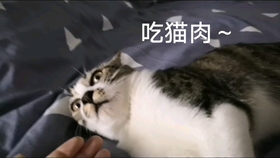 94613964ac3d2577ce4fa225e9cd337c6d2e5d6b.jpg@280w_158h_1c_100q.jpg