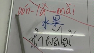 946e5edbfdc3cdf6d4f6188cf1937d3e068a22ca.jpg@310w_174h_1c_100q.jpg