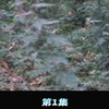 #奸尸狂魔案  长期单身男子杀害奸尸三名女子