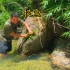 小水塘发现有很多溪石斑鱼，用树叶来捕鱼你们试过吗？
