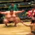 肥肉的碰撞！日本相扑手比赛视频