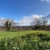 空镜头视频 风景草地延时树木蓝天白云 素材分享
