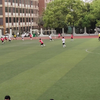 二中内马尔