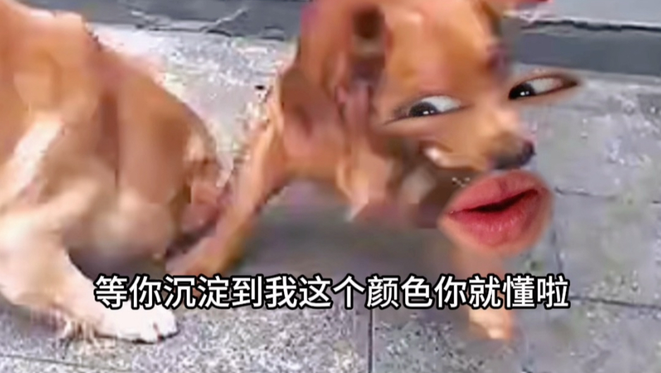 《狡猾の老抽》