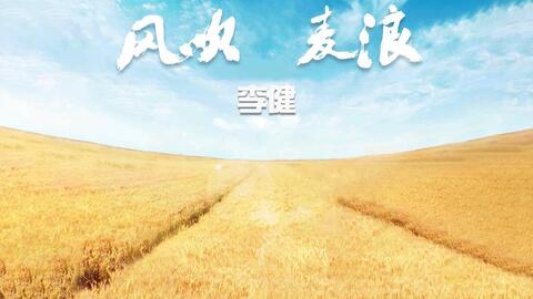 风吹麦浪歌曲谱_李健的风吹麦浪歌曲谱(2)