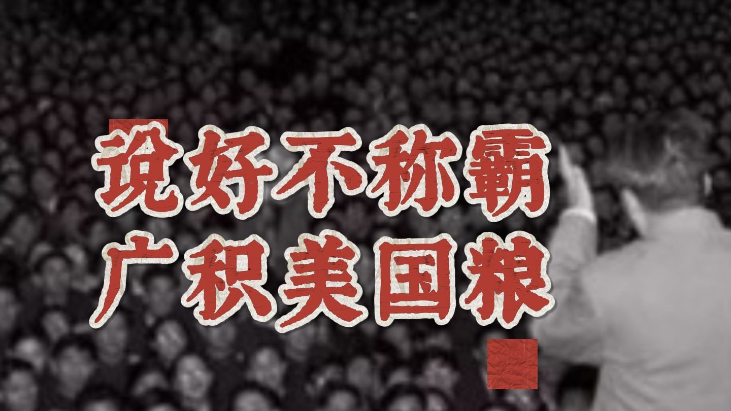 1973年主席的“广积粮”，和中美第一次巨额贸易逆差的由来