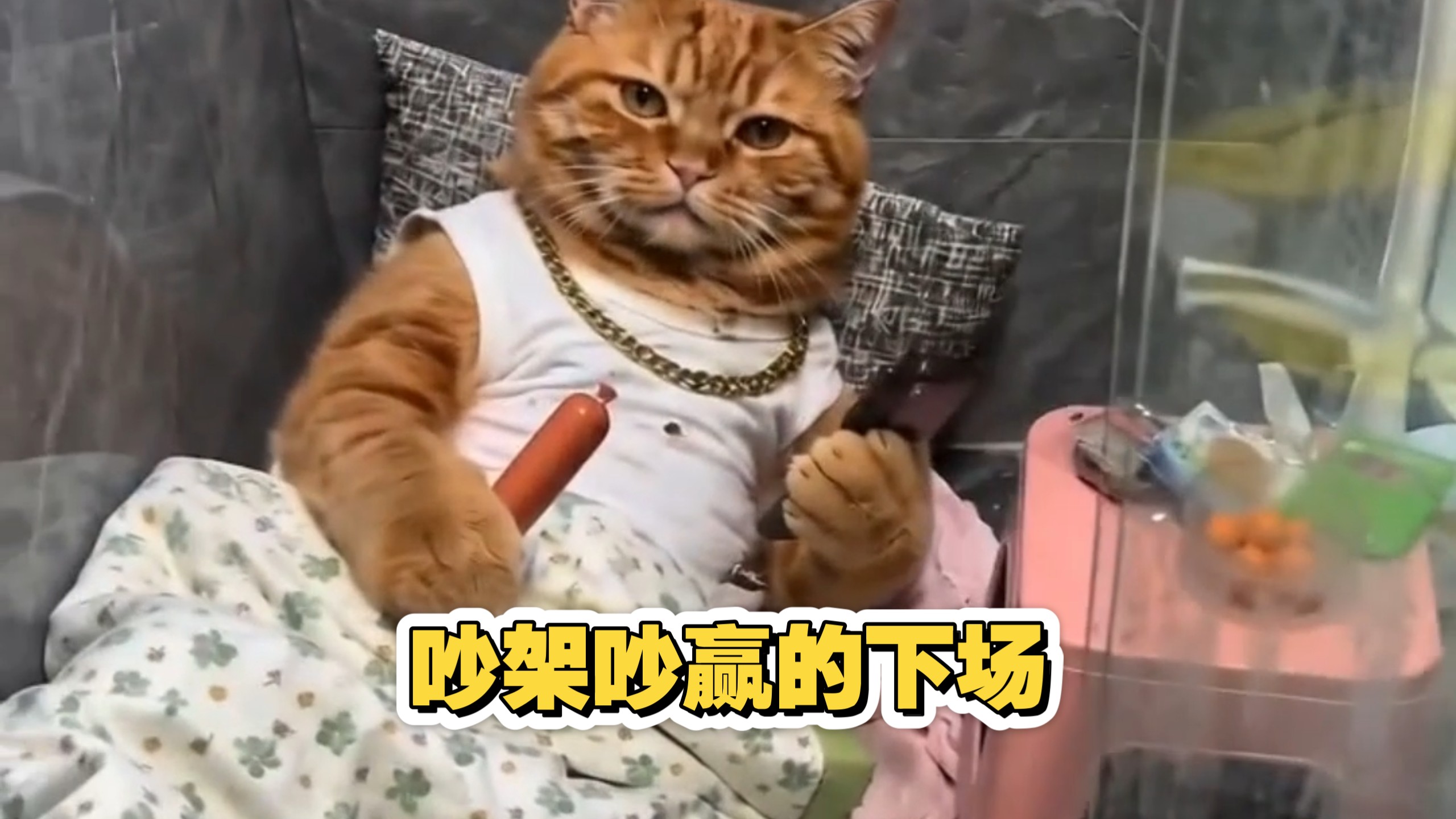 吵架吵赢了的下场