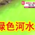 【中日双语】日本一地河水变成荧光绿色。上次是红色的海水，这次是绿色的河水？奈良县生驹市的龙田川等河流突然变成萤光绿，经过