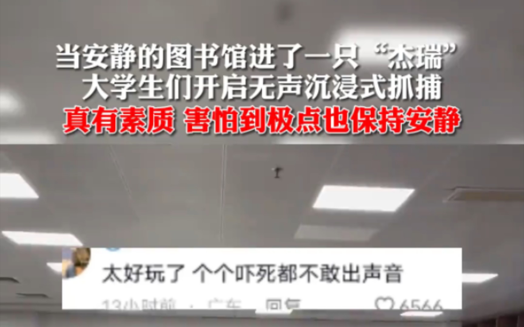 当安静的图书馆进了一只“#杰瑞 ”,无声沉浸式抓捕开启!#大学生 #校园生活哔哩哔哩bilibili